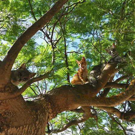 Makara Holiday home Eraclea Minoa