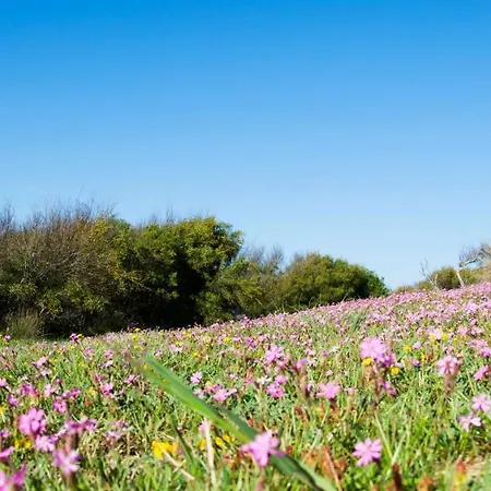 Makara Eraclea Minoa