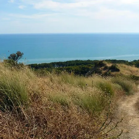 Makara